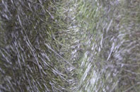 Hall Garth fibreglass roof work